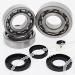 SCHREMS DIFFERENTIAL-LAGER UND SIMMERRING KIT FRONT POLARIS ATV 500 Pro 02, Magnum 325 4x4 HDS 01-02, Magnum 500 4x4 HDS 01-03, PTV Series 10 4x4 03