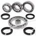 SCHREMS DIFFERENTIAL-LAGER UND SIMMERRING KIT REAR SUZUKI LT-A 500F Quad Master Auto 01, LT-F 500F 01-02