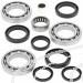 SCHREMS DIFFERENTIAL BEARING AND SEAL KIT FRONT POLARIS