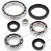 SCHREMS DIFFERENTIAL BEARING AND SEAL KIT FRONT YAMAHA