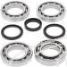 SCHREMS DIFFERENTIAL BEARING AND SEAL KIT FRONT POLARIS