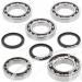 SCHREMS DIFFERENTIAL BEARING AND SEAL KIT FRONT POLARIS