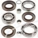 SCHREMS DIFFERENTIAL BEARING AND SEAL KIT REAR POLARIS