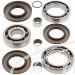 SCHREMS DIFFERENTIAL-LAGER UND SIMMERRING KIT REAR POLARIS