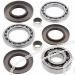 SCHREMS DIFFERENTIAL-LAGER UND SIMMERRING KIT REAR POLARIS Sportsman XP 850 09, XP 550 Built before 12/1/08 09