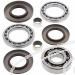 SCHREMS DIFFERENTIAL BEARING AND SEAL KIT REAR POLARIS Sportsman XP 850 09, XP 550 Built before 12/1/08 09