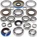 SCHREMS DIFFERENTIAL BEARING AND SEAL KIT REAR POLARIS