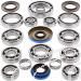 SCHREMS DIFFERENTIAL BEARING AND SEAL KIT REAR POLARIS Ranger RZR 4 XP 900 12-, RANGER RZR 570 EFI 12-, Ranger RZR XP 900 11-