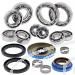 SCHREMS DIFFERENTIAL BEARING AND SEAL KIT REAR POLARIS