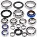 SCHREMS DIFFERENTIAL BEARING AND SEAL KIT REAR POLARIS