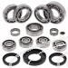 SCHREMS DIFFERENTIAL BEARING AND SEAL KIT REAR POLARIS