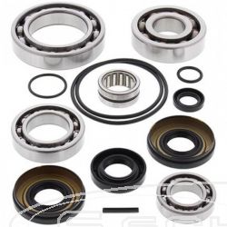 SCHREMS DIFFERENTIAL BEARING AND SEAL KIT REAR KAWASAKI KVF650 I Brute force 06-, KVF750 Brute Force 05-, KVF750 Brute Force EPS 12-