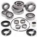 SCHREMS DIFFERENTIAL-LAGER UND SIMMERRING KIT REAR POLARIS Scrambler 500 4x4 02-