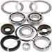 SCHREMS DIFFERENTIAL BEARING AND SEAL KIT FRONT KAWASAKI TERYX 750 4X4 08-