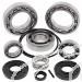 SCHREMS DIFFERENTIAL BEARING AND SEAL KIT REAR KAWASAKI TERYX 750 4X4 08-