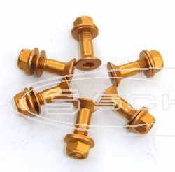 SCHREMS ŠROUB DO ROZETY 6 PACK GOLD KLČ 12 MM M8X30 8.8