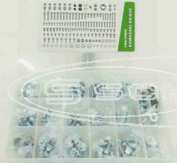 SCHREMS FACTORY SET OF BOLTS AND WASHERS, 160 PIECES ALL KAWASAKI KX/KXF