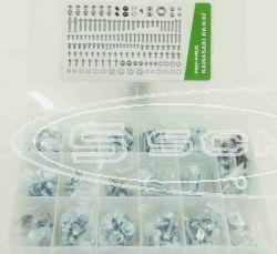 SCHREMS FACTORY SCHRAUBEN UND SCHEIBEN BOX 160 TEILE ALL KAWASAKI KX/KXF