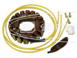 SCHREMS ELECTREX GENERTOR  BMW F650, APRILIA PEGASO 650