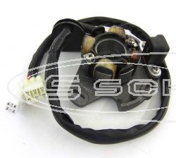 SCHREMS ZNDUNGS KIT SUZUKI RM250 (96-00)