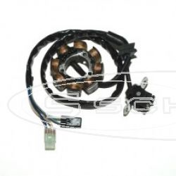 SCHREMS STATOR CRF250R/450R