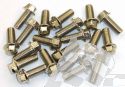 SCHREMS BOLT BOX M8 X20 MM 8.8 20-PACK M8X20