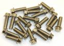 SCHREMS BOLT BOX M8 X25 MM 8.8 20-PACK M8X25