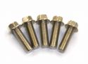 SCHREMS BOLT BOX M8 X25 MM 8.8 5 PACK M8X25