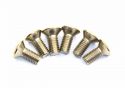 SCHREMS BRAKE DISK BOLT 6-PACK KTM 65,RM80-85/YZ85/VERSCISDENE M