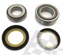 SCHREMS STEERING-STEM BEARING KIT