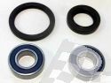 SCHREMS WHEEL BEARING AND SEAL KIT