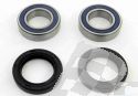 SCHREMS WHEEL BEARING AND SEAL KIT