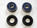 SCHREMS WHEEL BEARING AND SEAL KIT