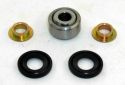 SCHREMS REAR SHOCK BEARING KIT