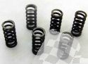 SCHREMS-EBC CLUTCH SPRING KIT PREMIUM 6-PIECE