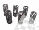 SCHREMS-EBC CLUTCH SPRING KIT PREMIUM 6-PIECE