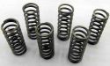 SCHREMS-EBC CLUTCH SPRING KIT PREMIUM 6-PIECE