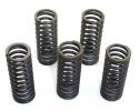 SCHREMS-EBC CLUTCH SPRING KIT PREMIUM 5-PIECE