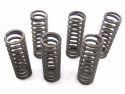 SCHREMS-EBC CLUTCH SPRING KIT PREMIUM 6-PIECE