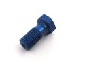 BANJO BOLT FOR BRAKE LINE ALU M10x1,00 BLUE