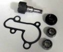 SCHREMS WATER PUMP REPAIR KIT