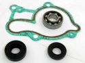 SCHREMS WATER PUMP REPAIR KIT INCL. BEARING AND GASKETS