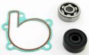 SCHREMS WATER PUMP REPAIR KIT INCL. BEARING AND GASKETS