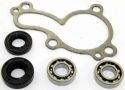 SCHREMS WATER PUMP REPAIR KIT INCL. BEARING AND GASKETS