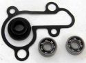 SCHREMS WATER PUMP REPAIR KIT INCL. BEARING AND GASKETS