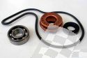 SCHREMS WATER PUMP REPAIR KIT INCL. BEARING AND GASKETS