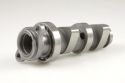 HOT CAMS CAMSHAFTS HONDA TRX 450R/ER 08-