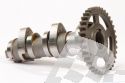 HOT CAMS NOCKENWELLE HONDA CRF 450R 10-