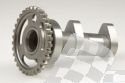 HOT CAMS INTAKE CAMSHAFTS SUZUKI RM-Z 450 07