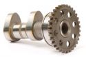 HOT CAMS INTAKE CAMSHAFTS YAMAHA YZ 450F 10-